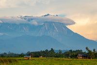 De Kota Kinabalu,Kundasang Visite privée +Plage de printemps chaud - Hizvo