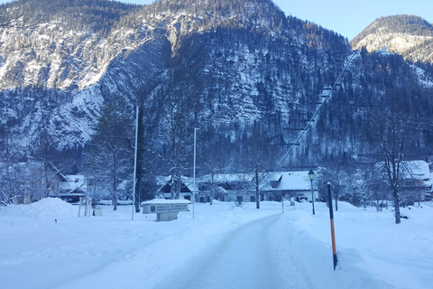 Z Wiednia: Jarmarki Bożonarodzeniowe: 1-dniowa wycieczka do Hallstatt