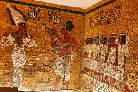 Manchester Museum Private Guided Tour with Admission