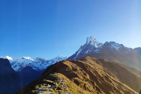 From Pokhara: 8-Day Mardi Himal Trek with Transfers