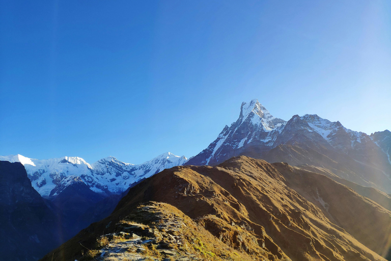 From Pokhara: 8-Day Mardi Himal Trek with Transfers