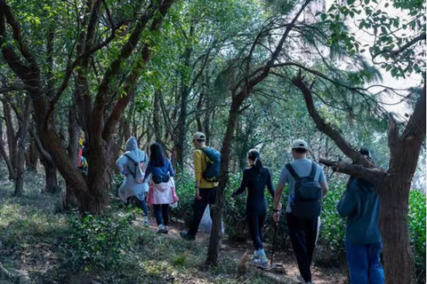 From Shanghai: Taihu Dongshan Hike & Lakeside Sunset Tour