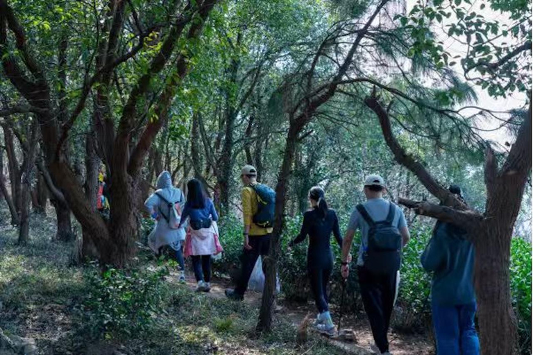 From Shanghai: Taihu Dongshan Hike & Lakeside Sunset Tour