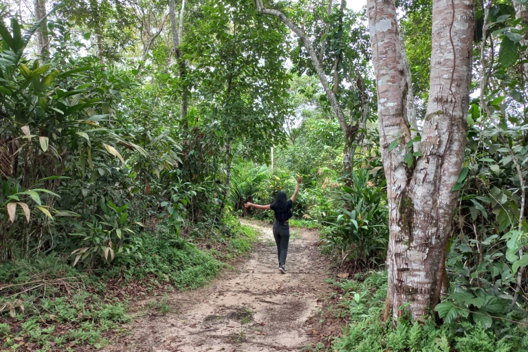 Iquitos : Traitement curatif par les plantes médicinales