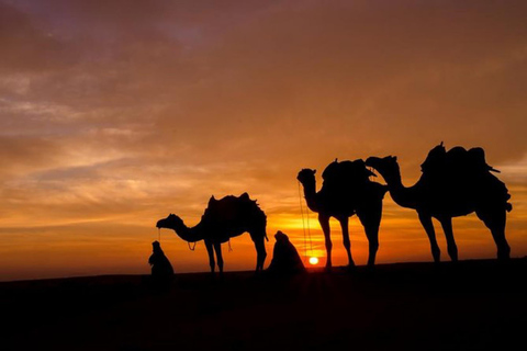 Diner in de Agafay-woestijn in Berber Camp met zonsondergang en sterren