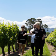 Marlborough: Half Day Blenheim Wine Tour - Eating & Sipping Marlborough: Half Day Blenheim Wine Tour - Eating & Sipping