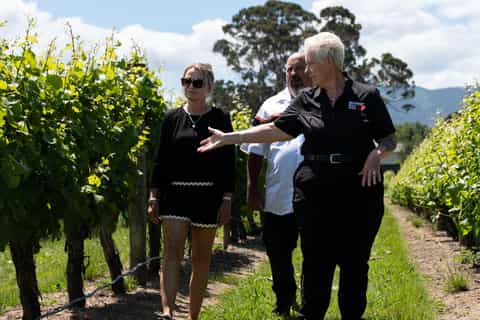Marlborough: Half Day Blenheim Wine Tour - Eating & Sipping - Image 3