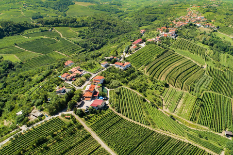 Ljubljana: Karst and Goriška Brda Tour with Lunch & Tastings
