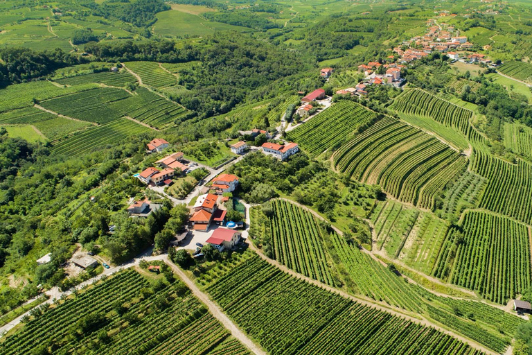 Ljubljana: Karst and Goriška Brda Tour with Lunch & Tastings