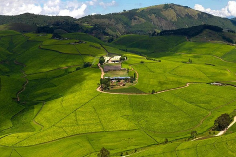 Tour rilassante di 2 giorni sul lago Kivu con crociera in barca