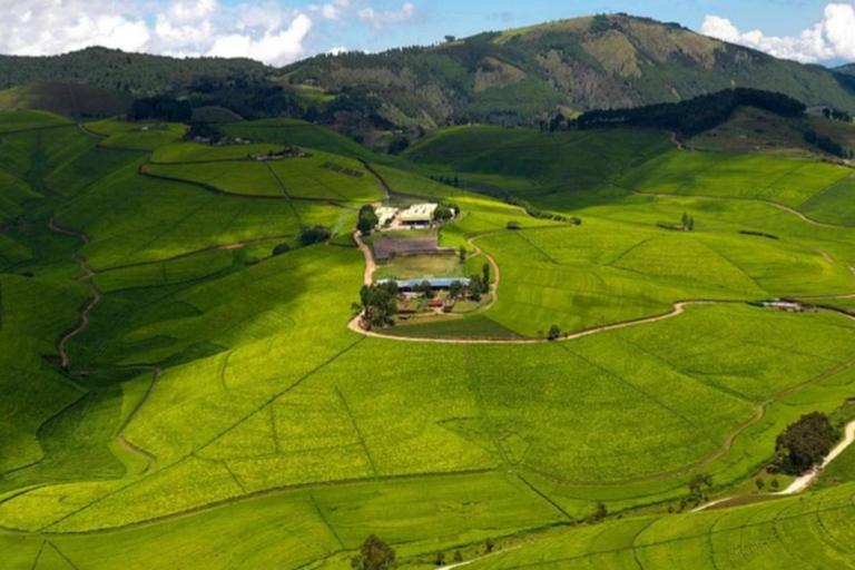 Tour rilassante di 2 giorni sul lago Kivu con crociera in barca