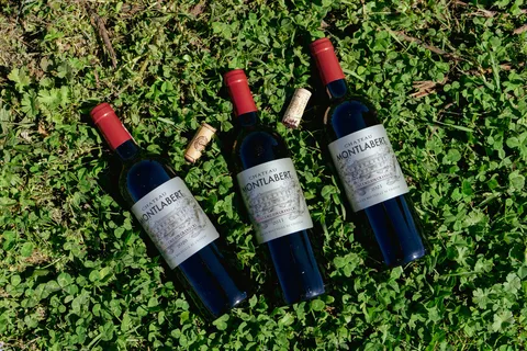 Tasting of Château Montlabert - Saint Emilion