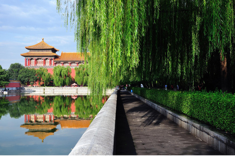 Beijing: Forbidden City & Panda Zoo Private Tour Beijing Panda Zoo （only ticket，not tour）