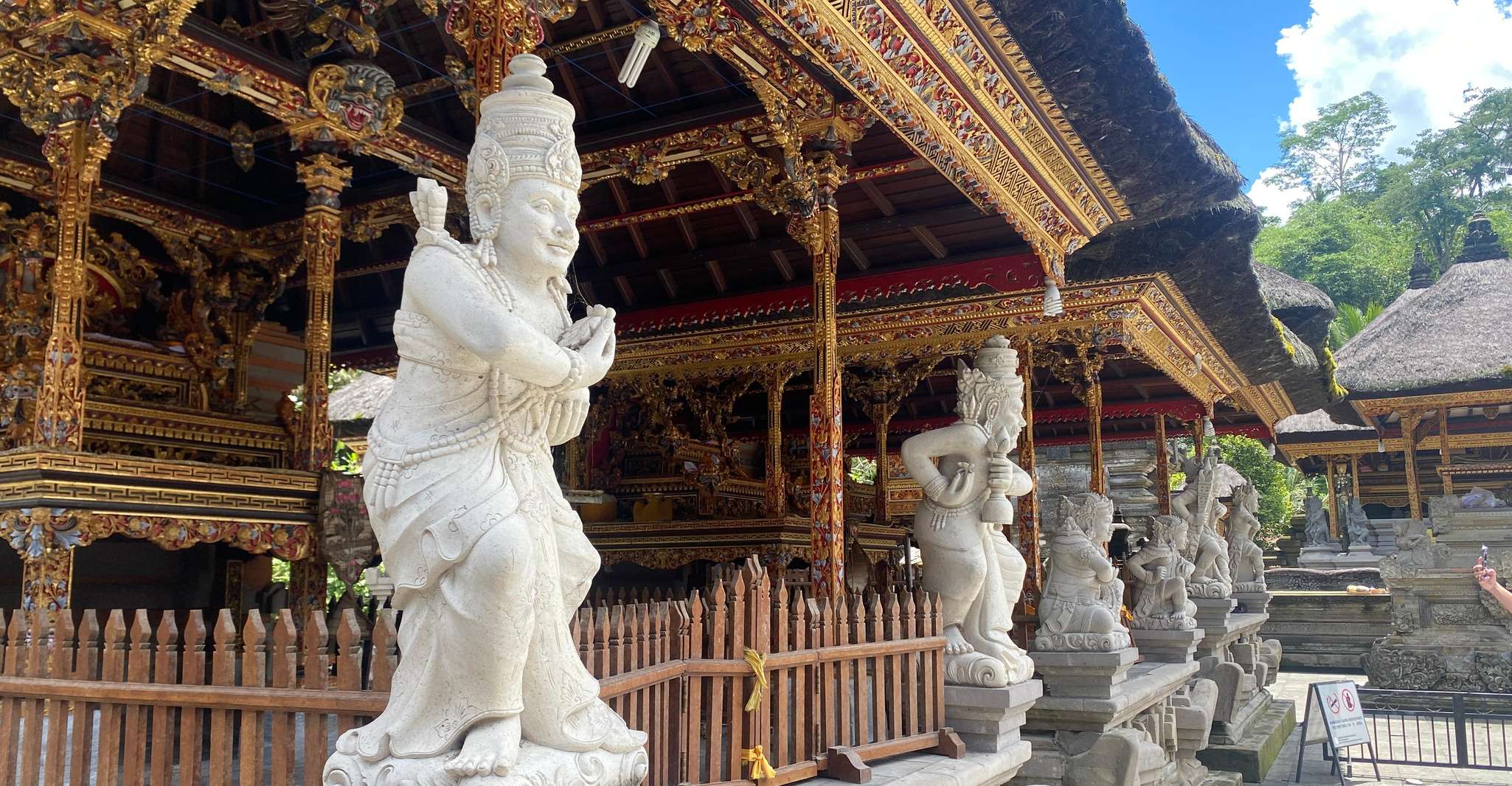 Bali, Forêt de Singe Ubud, Terrasses de Rice, Temple, Cascade - Hizvo