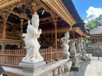 Bali, Ubud Affenwald, Reisterrassen, Tempel, Wasserfall - Hizvo