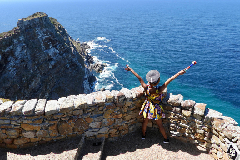 Cape Town Table Mountain Penguins & Cape Point All-inclusive