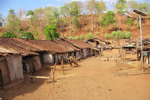 One-Day Cultural &amp; Nature Tour: Jeypore &amp; Koraput