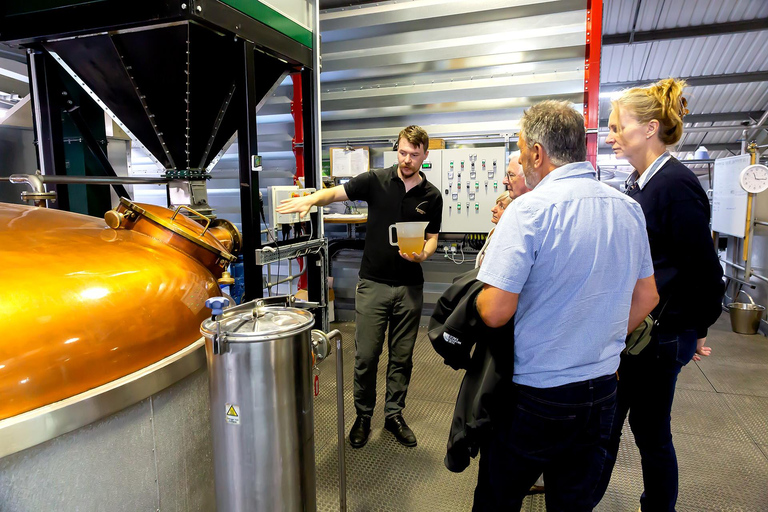 South Wales: Private Day Trip with Driver-Guide