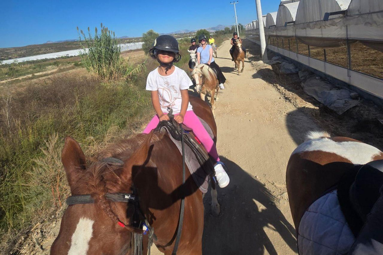 Side: Horse Safari and Family Activity Park Entry 2-Hour Extended Horse Safari Experience