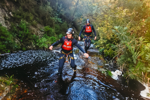Plettenberg Bay: Canyoning Trip Plettenberg Bay: Standard Canyoning Trip