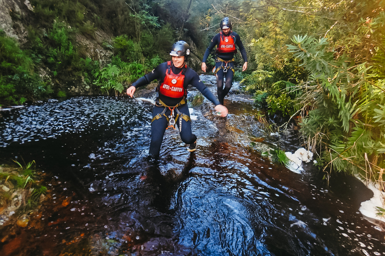 Plettenberg Bay: Canyoning Trip Plettenberg Bay: Standard Canyoning Trip