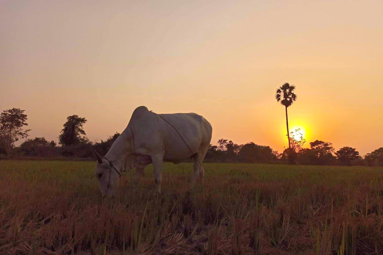 Phnom Penh: Sunset Quad Bike Tour with Hotel Pickup