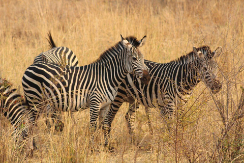 Safari a piedi con i rinoceronti - Parco Nazionale di Mosi -oa- Tunya