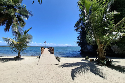 From Punta Cana: Los Haitises Tour: Mangroves, Caves + Round Mountain