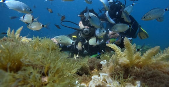 Sousse: Guided Reef and Cave Scuba Diving Tour with Pickup