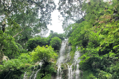 From San Salvador: Juayua Waterfalls Hike and Swimming pool