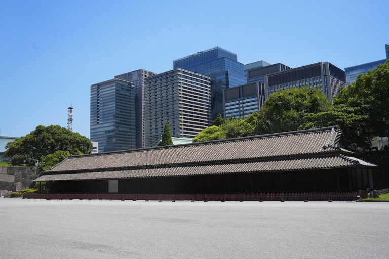 Tokyo: Edo Castle and Imperial Palace Guided Walking Tour Japanese guide