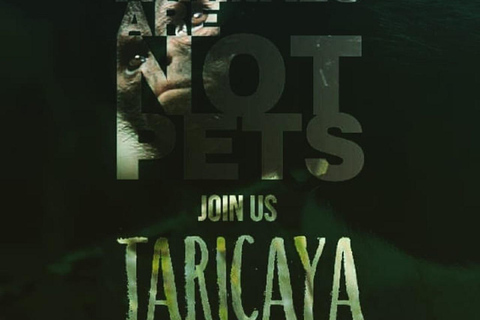 马尔多纳多港：塔里卡亚野生动物救援中心之旅