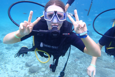 Alanya: PADI Discover Dive & Certified Training Options First Time Diving Option