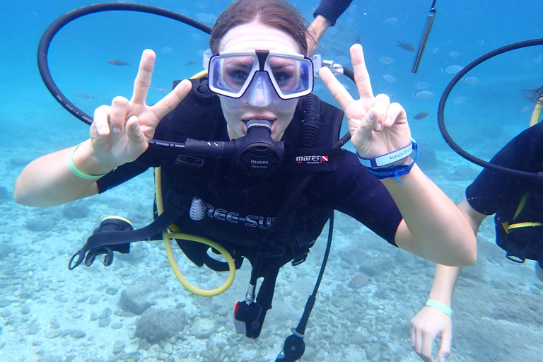 Alanya: PADI Discover Dive & Certified Training Options First Time Diving Option