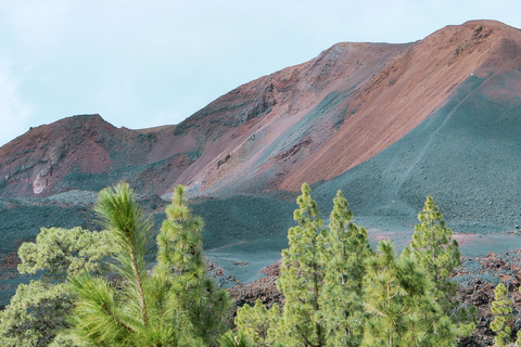 Teneriffa: VIP-rundtur till vulkanen Teide och öns norra delTeneriffa: VIP-rundtur till vulkanen Teide &amp; öns norra del