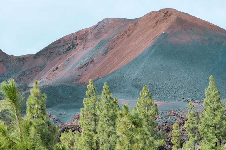 Teneriffa: Tour im Norden der Insel & Teide