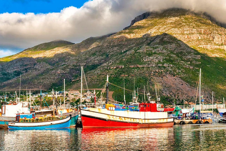 Kapstadt: houtbay scenic tour ,seal island ,world of birds.