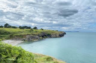 Wicklow: Geführte Klippenwanderung mit Robben und Stadtrundfahrt mit Picknick