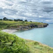 Wicklow: Guided Cliff Walk with Seals and Town Tour w/Picnic