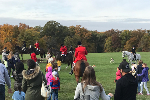 Washington DC: Mount Vernon Tour van een halve dag