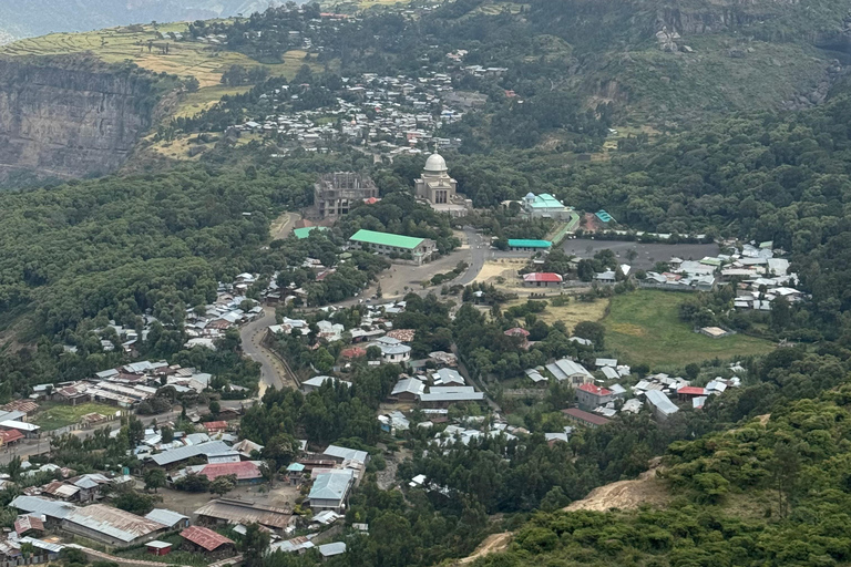 Addis Ababa: Debre Libanos, Gelada Baboons, & Gorge Tour