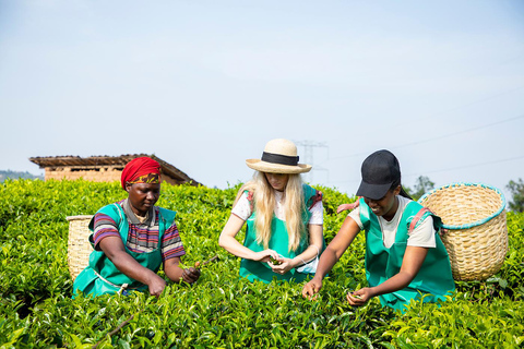 2-dniowa wycieczka kawowa nad jezioro Kivu2 dni od ziarna do filiżanki – kawa z jeziora Kivu
