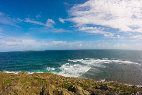 Saint Martin: Pinel Island Guided Tour with Ferry Ride