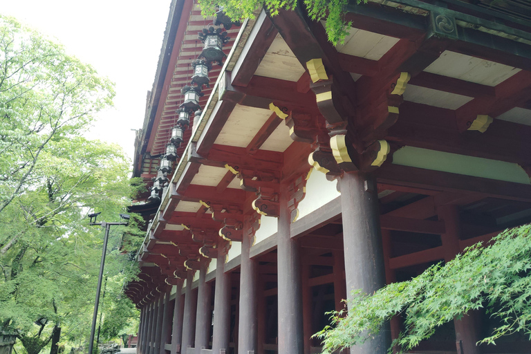Nara: Explore Tanzan Shrine’s Pagoda and Sacred History