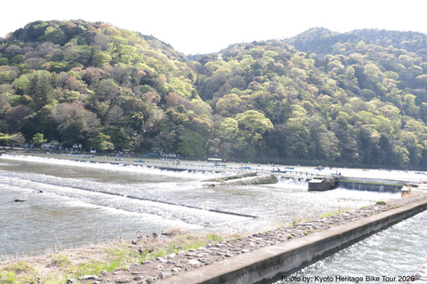 Kyoto: E-Bike Tour of Palace, Castle, Temples & Hidden Gems