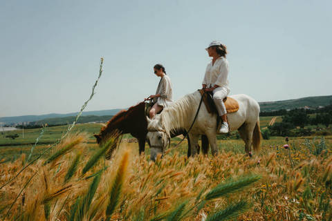 Tiflis: Experiencia de montar a caballoTiflis: Experiencia de equitación 2