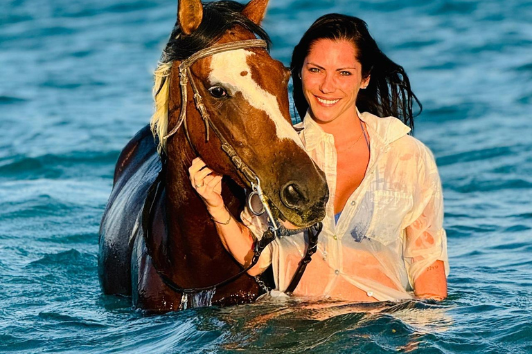 الغردقة: جولة ركوب الخيل في الصحراء والبحر مع خيار السباحةجولة لمدة ساعتين لركوب الخيل بدون السباح