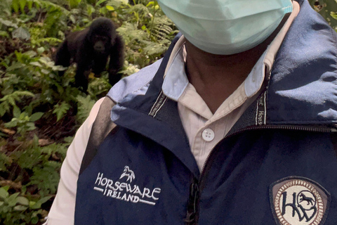 Escursione di 1 giorno in Uganda per il Gorilla Trekking da Kigali, Ruanda