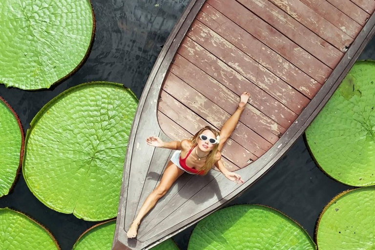Phuket: Giant Water Lily Pond Options Drone Video+Old Town Lily Pond Group Combo Photo+Drone Video+Old Town+Khao Rang