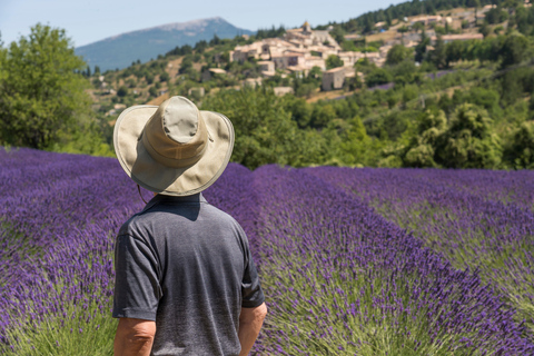 From Aix-en-Provence: Sault Lavender & Gordes Full-Day Tour